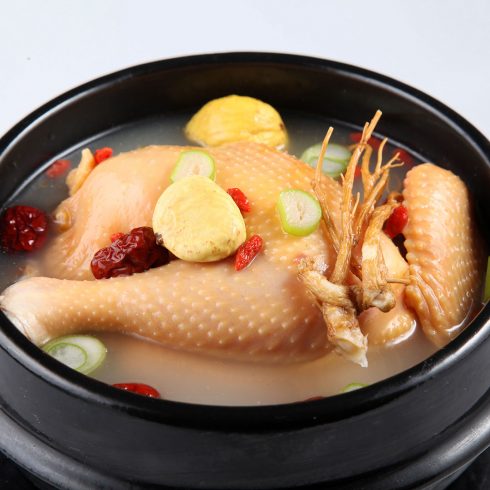 红豆杉养生鸡汤